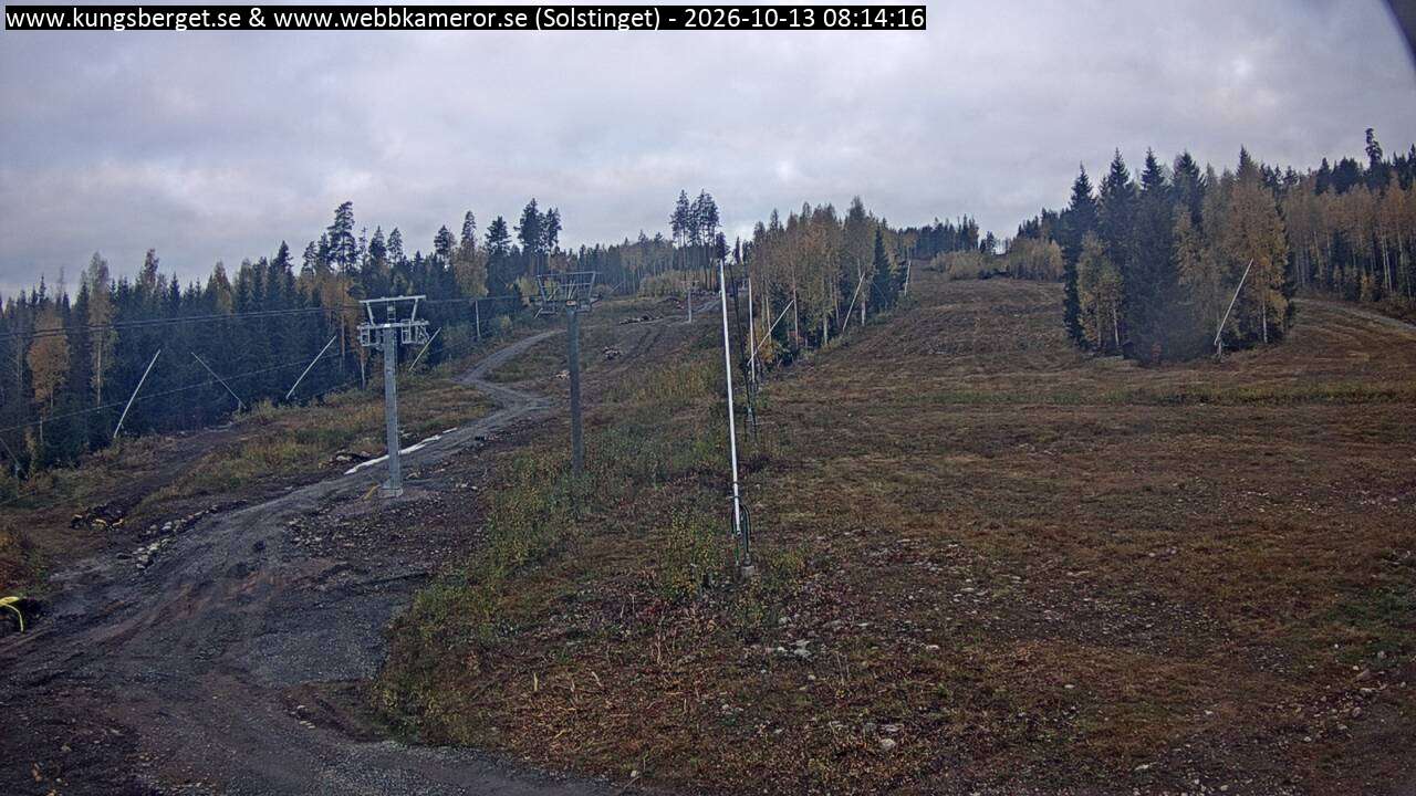 Solstinget