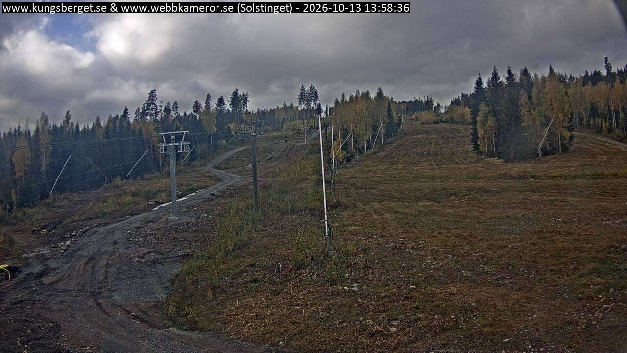 Solstinget