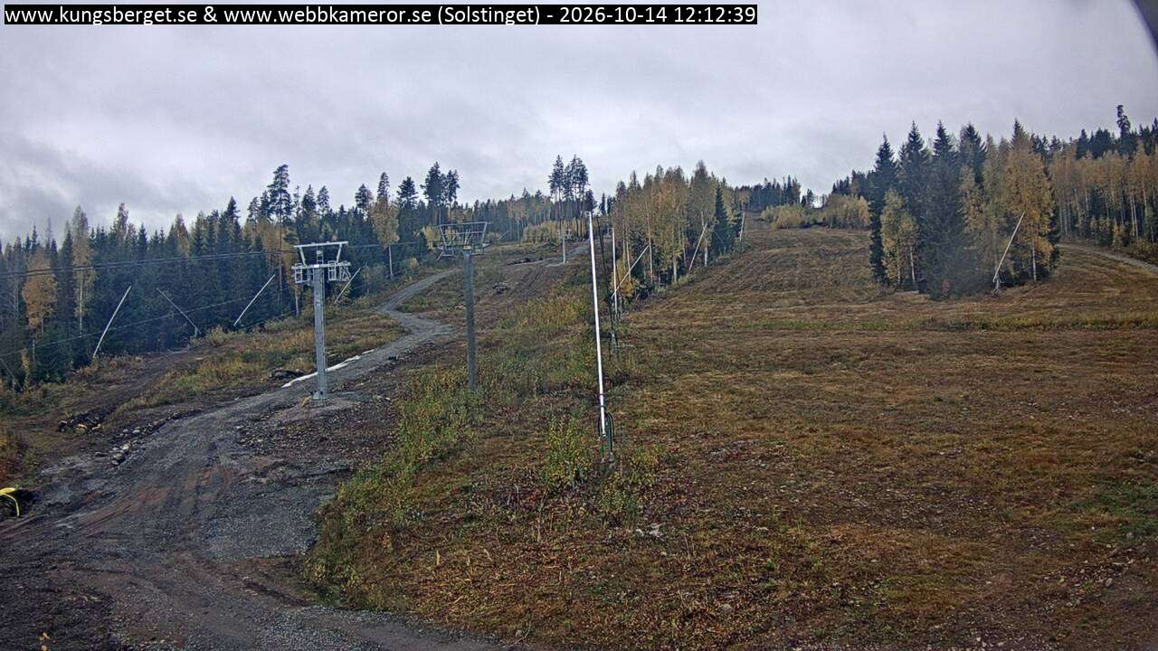 Solstinget