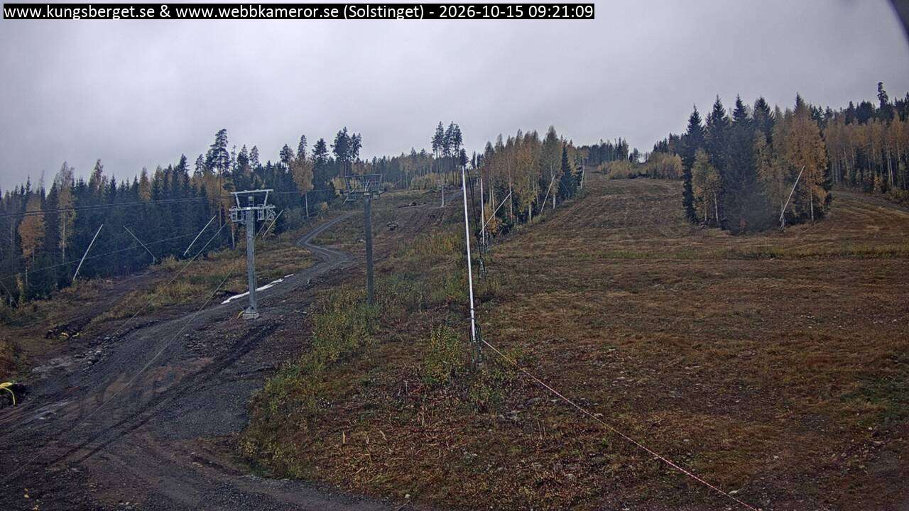 Solstinget