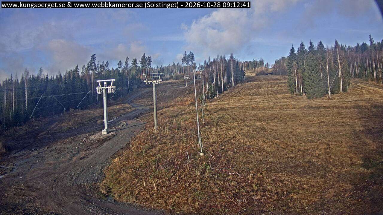 Solstinget